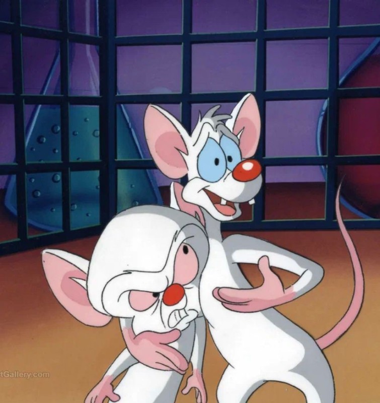 Create meme: pinky and brain , pinkie and brain love, cartoon pinky and brain