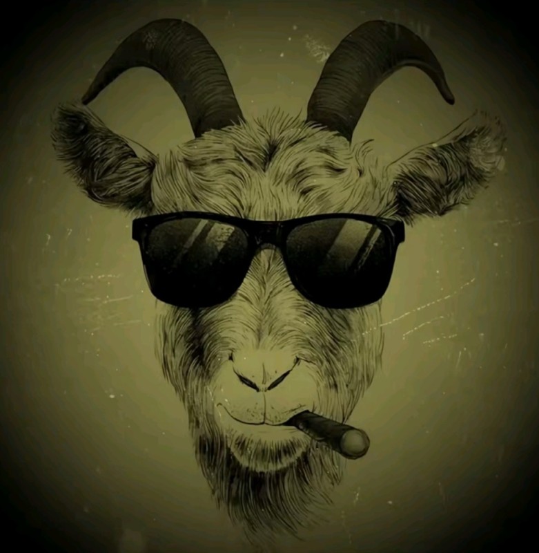 Create meme: goat graphics, Avatar of the mad goat, A goat with glasses