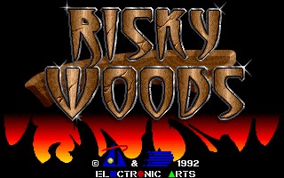 Create meme: risky woods, the game risky woods sega, risky woods sega