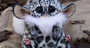 Create meme: Madagascar pasoh, unusual animals, Mexican pasoh