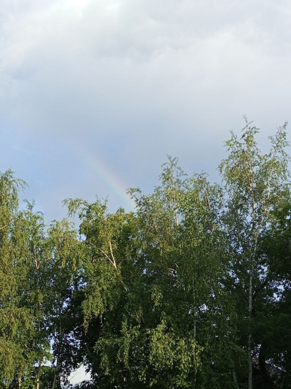 Create meme: rainbow , rain and sun, phenomenon 