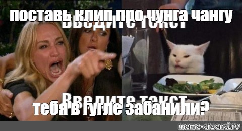 Поставь me. Тебя что в гугле забанили. Тебя в гугле забанили Мем. Мем девушка показывает на кота. В гугле забанили прикол.