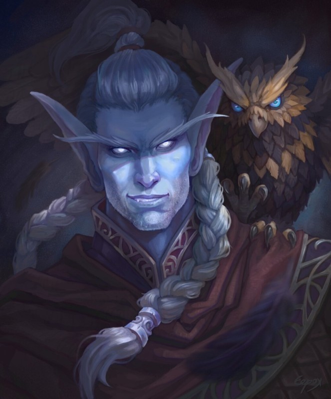 Create meme: Warcraft Night Elf, Elf Warcraft, The High Elf of Warcraft