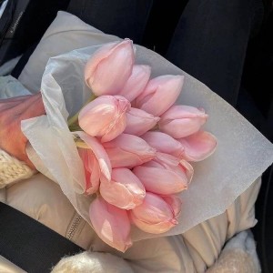 Create meme: flowers tulips, flowers, pink tulips