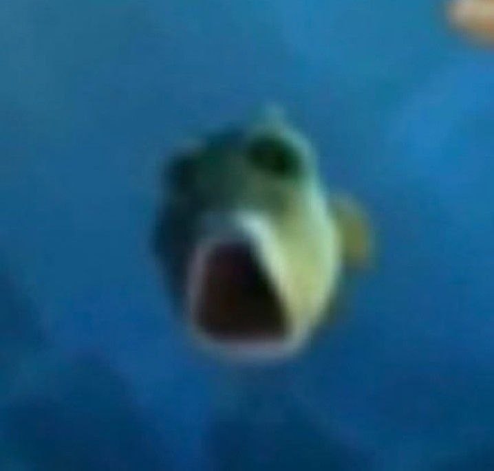 Create meme: yellow puffer fish, meme fish, The puffer fish meme