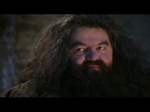 Create Meme "Hagrid You're A Wizard Harry, Hagrid , Harry Potter Hagrid ...