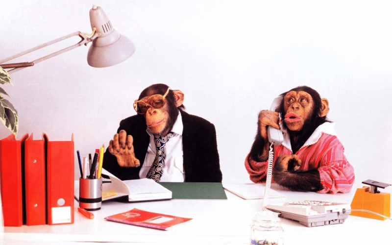 Create meme: the monkey is talking on the phone, monkey, business monkey