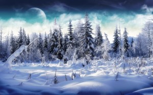 Create meme: eat snow, snow tree, snow forest