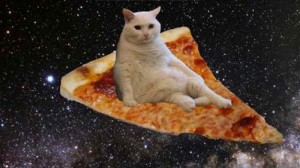 Create meme: cat, cat in space, cat on pizza in space