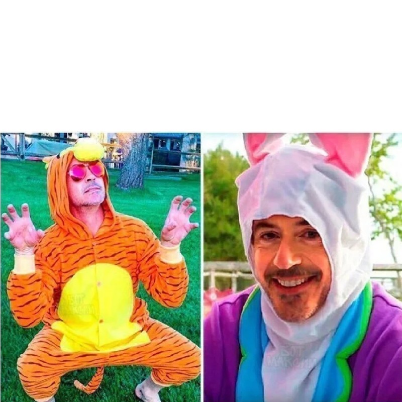 Create meme: Robert Downey Jr. in Kigurumi, Robert Downey Jr. Bunny, Robert Downey Junior rabbit