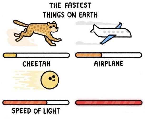 Create meme: English text, cheetah plane, fast faster the fastest