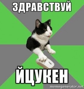 Create meme: memes, cats, Kote