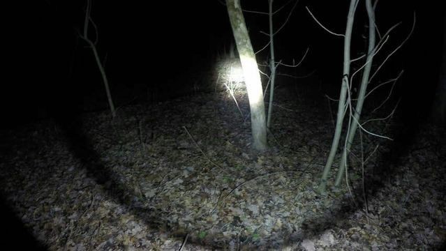 Create meme: headlamp, darkness, scary forest at night
