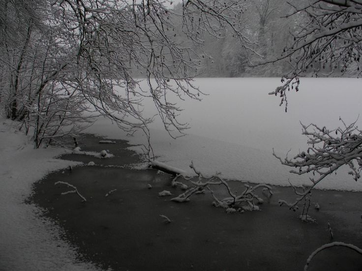 Create meme: pond in winter, winter pond, winter lake