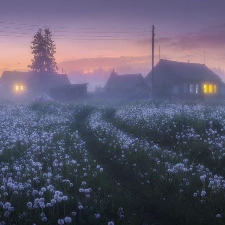 Create meme: village of dawn, summer evening in the village, fog in the village