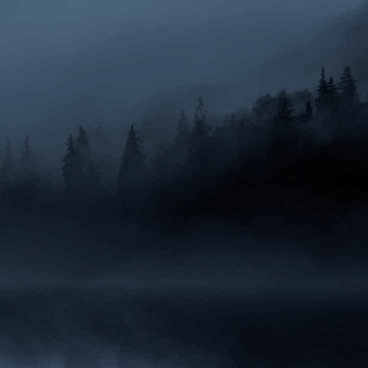 Create meme: landscape fog, thick fog , forest fog