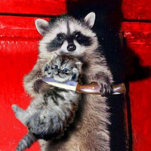 Create meme: raccoons, raccoon gargle, a raccoon with a knife