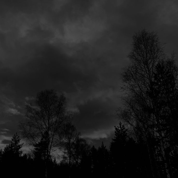 Create meme: darkness, tree dark sky, the sky is black and white