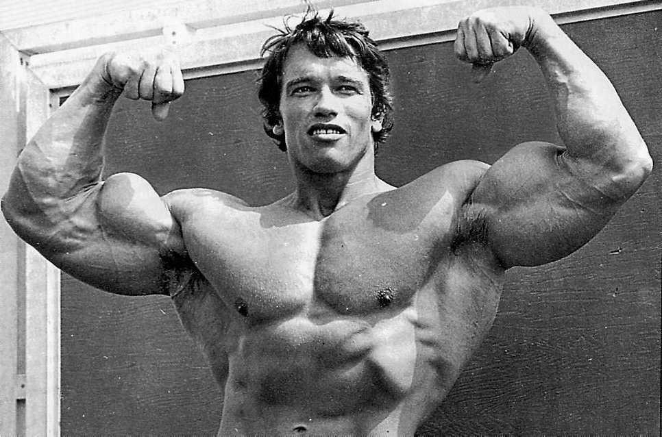 Create Meme "Arnold Schwarzenegger Biceps, Arnold Schwarzenegger In His ...