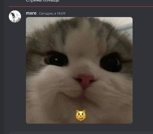 Create meme: cat , cute cats , smirk cat
