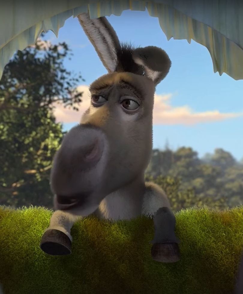 Create meme: donkey from Shrek, the jackass of shrek, donkey shrek 2