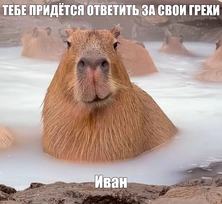 Создать мем: null