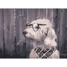 Create meme: A dog with glasses, dog with glasses, poster of a dog with glasses