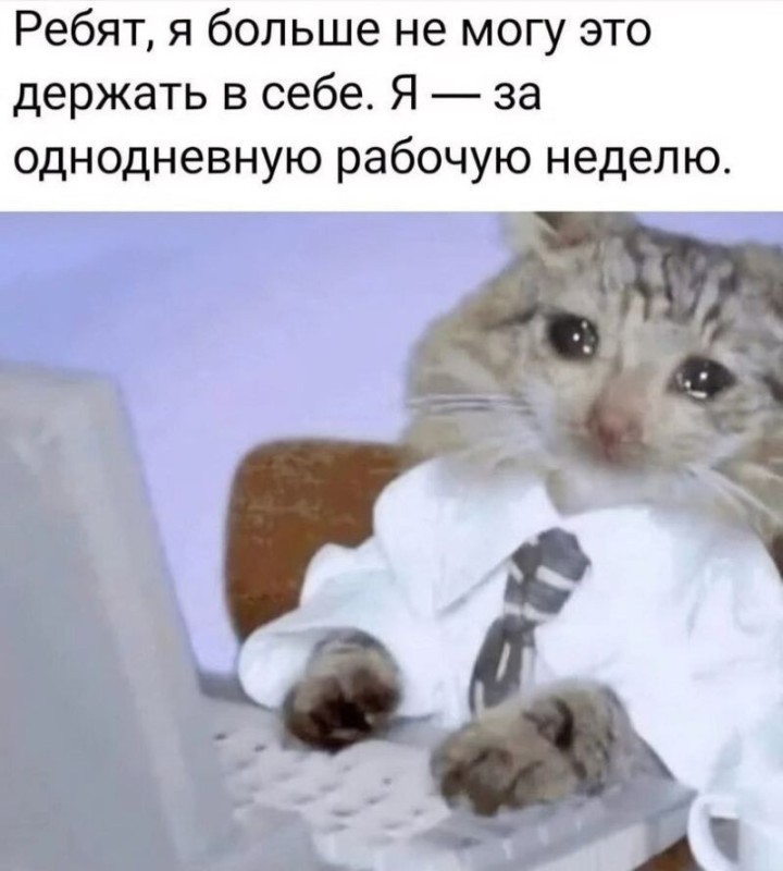 Создать мем: коты менеджеры, мемы с котиками, пятница котики