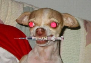 Создать мем: Наркотики что вы сделали с собакой