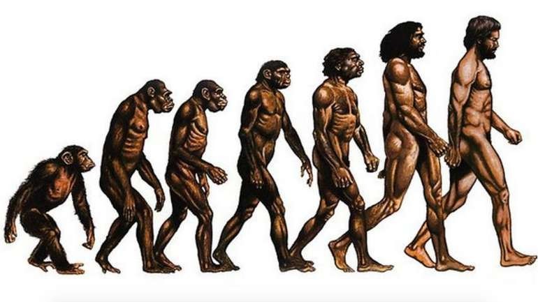 Создать мем: чарльз дарвин теория эволюции, эволюция человека дарвина, теория эволюции человека