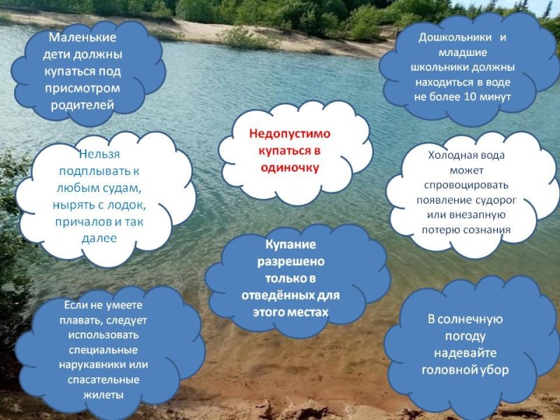 Create meme: pond, information about reservoirs, nature