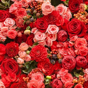Создать мем: букет арт, весна цветы, красные розы фон