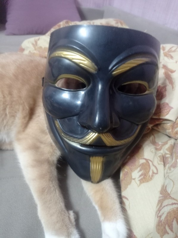 Создать мем: маска вендетта, маска гая, маска гая фокса анонимуса золотой