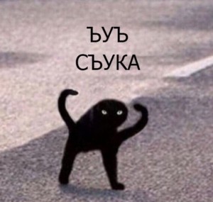 Create meme: black cat joy, black cat meme joy, memes