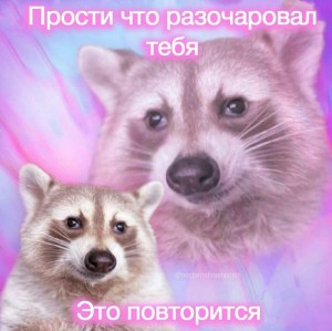 Create meme: raccoon animal, raccoons, enotik