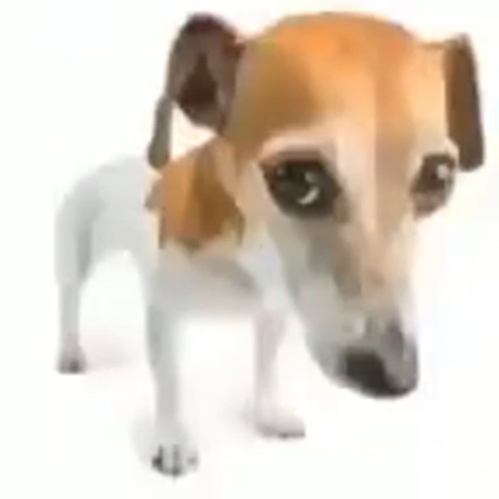 Create meme: jack russell terrier dog, jack russell puppy, dog 