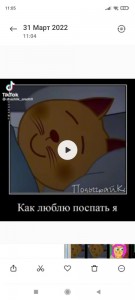 Create meme: meme about the dream, comics cats, memes