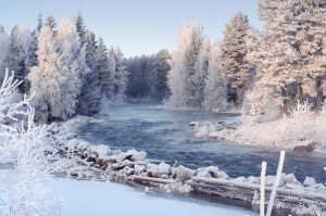 Create meme: beautiful winter, forest in winter, photos Russian winter nature