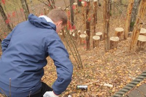 Create meme: tree, birch damaged by axe, spring forest collecting SAP