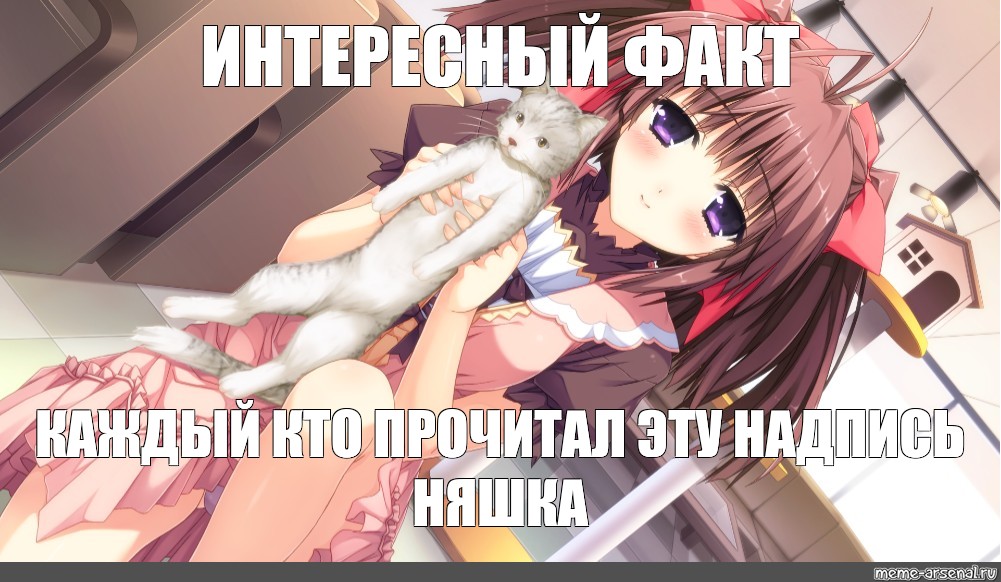 Ты няшка картинки