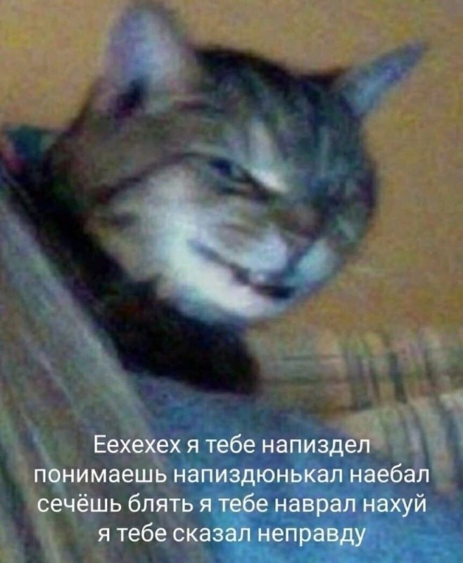 Create meme: Cat I told you a lie, I lied to you a lot., I've written to you