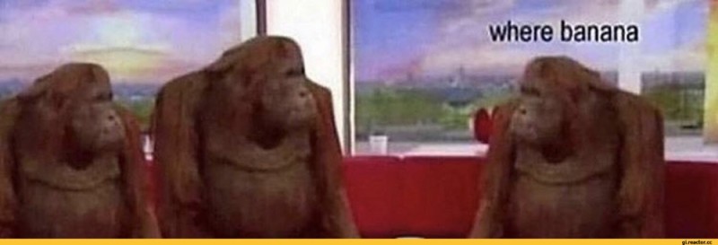 Создать мем: обезьяны за столом мем, where banana, обезьяна пьет чай