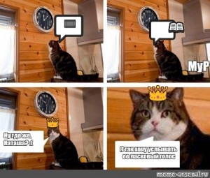 Create meme: memes with cats, MEM time cat pattern, cat meme