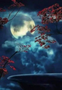 Создать мем: полнолуние, ночь луна, доброй ночи картинки природа