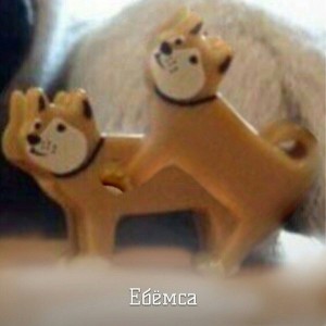 Create meme: dog bites, meme dog, Shiba inu bites