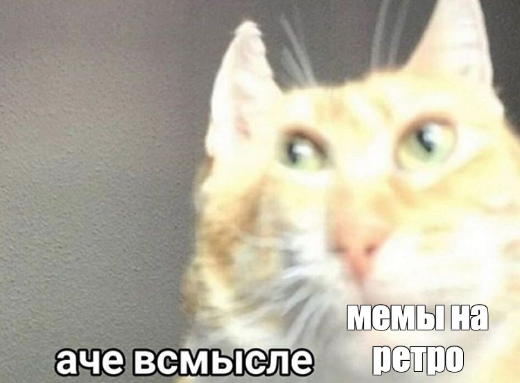 Создать мем: null