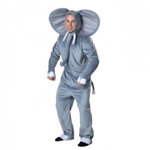 Create meme: elephant costume for a child, raincoat suit, elephant costume photos adult