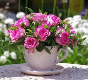 Создать мем: цветы в чашке, открытки с добрым утром с розами, замечательные цветы