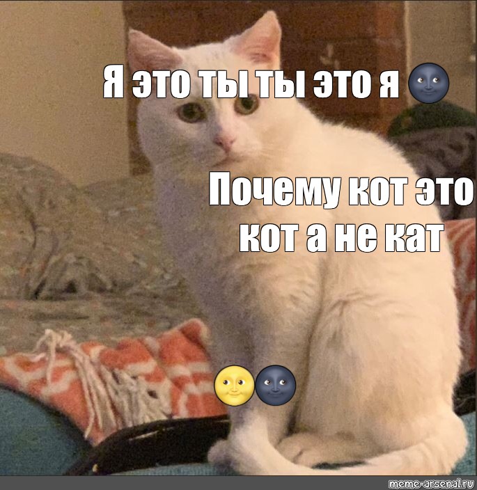 Создать комикс мем "котик мем, кот мем довольный, довольный котик мем" - Комиксы