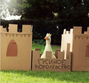 Create meme: crafts made from cardboard boxes, of cardboard boxes, goose Kingdom